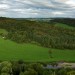 Symonds Yat Rock view: River Wye, ancient hill fort and birds of prey 